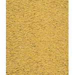 VERSELE-LAGA NutriBird treats GOLD PATEE Field Fusion