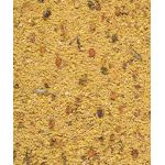 VERSELE-LAGA NutriBird treats GOLD PATEE Forest Fusion