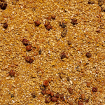 Deli Nature Uni paté TOVO