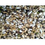 VERSELE-LAGA Prestige Germination Seeds Parrots