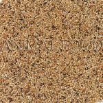 Deli Nature 41 - Foreign Finches Breeding