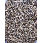 Deli Nature Premium Canaries