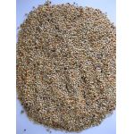 Deli Nature Premium Budgies