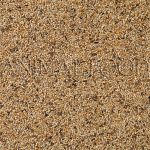Deli Nature 84 - APV Gould