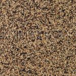 Deli Nature 91 - British Finches
