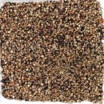 Deli Nature 94 - Wild Seeds