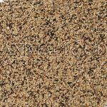 Deli Nature 70 - Premium Neophema 4kg