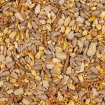 Deli Nature Greenline Protein Mix
