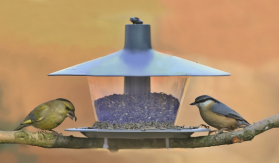 Vtáčie krmítko FINCH antracit