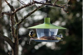 Vtáčie krmítko FINCH zelené