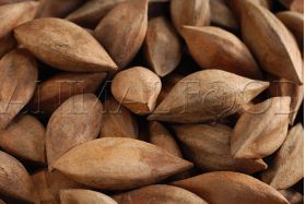 Pili orechy Premium 1kg