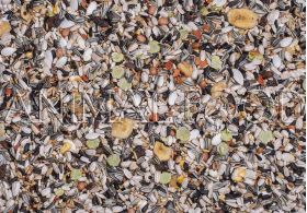 Deli Nature 24 - Caatinga