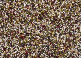 Deli Nature 63 - Germination Seeds British Finches and Parakeets
