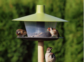 Vtáčie krmítko FINCH zelené