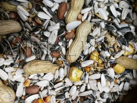 VERSELE-LAGA Prestige Parrots Seedmixture