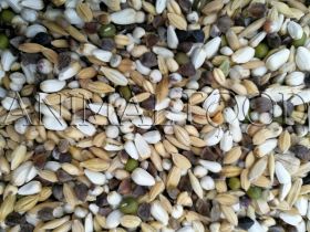 VERSELE-LAGA Germination Seeds Parrots 2,5kg