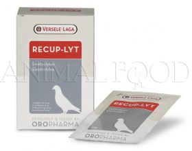 VERSELE-LAGA Oropharma RECUP-LYT 240g