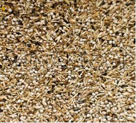 Deli Nature 98 - American Siskins 2,5kg