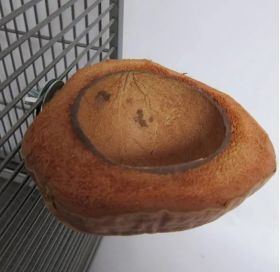 Kokosová miska