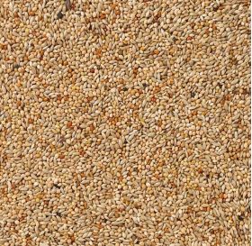 Deli Nature 40 - Foreign Finches Basic
