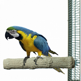 Brúsne bidlo Superstone XL 35cm