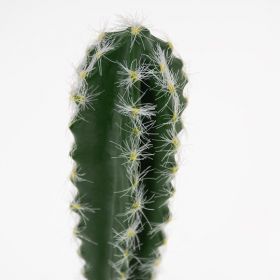 Terárijná dekorácia Cactus columnar 1