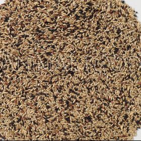 Deli Nature 53 - Canary Seed Extra