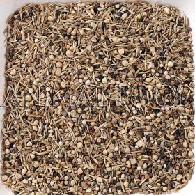 Wildseeds Deli Nature