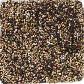 Deli Nature 82 - Canary Germination Seeds