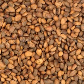 Cédrové orechy 1kg