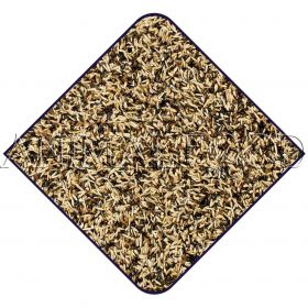 Witte Molen EXPERT Siskins