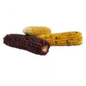 Kukuričky pre hlodavce Corn Cob Mix