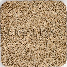 Lesknica Deli Nature 20kg