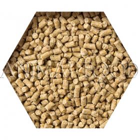 BEYERS GOLDCORN KOOPMAN
