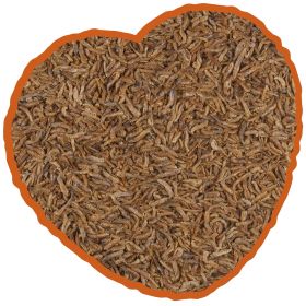 Gammarus Coarse - Krevety 500g