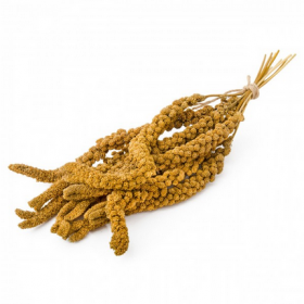Senegalské proso ANJOU - žlté 250g