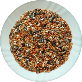 Avicentra CLASSIC MENU Malý Papoušek 4kg