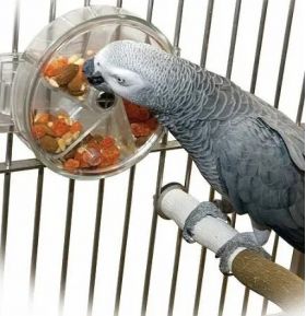 Aktívna hračka pre papagáje KOLOTOČ ŠTASTIA