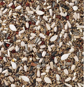 Deli Nature 90 - Pine Grosbeaks & Crossbills