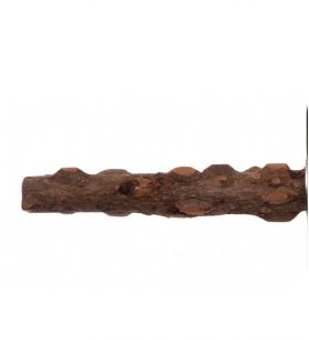 Bidlo Pepperwood S 15cm