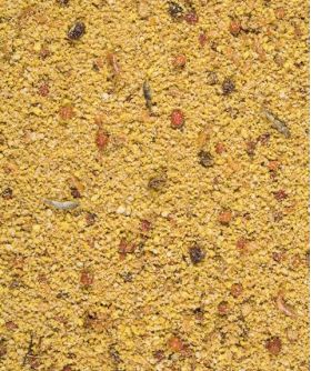 VERSELE-LAGA NutriBird treats GOLD PATEE Forest Fusion