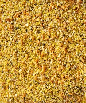 VERSELE-LAGA NutriBird GOLD PATEE Tropical Finches