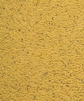 VERSELE-LAGA NutriBird GOLD PATEE Canaries