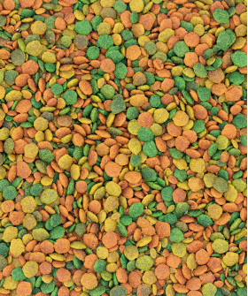 VERSELE-LAGA NutriBird G14 TROPICAL