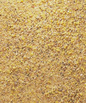 VERSELE-LAGA NutriBird GOLD CRUMBLE Canaries