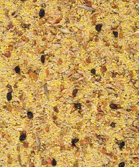 VERSELE-LAGA NutriBird GOLD CRUMBLE Big Parakeets & Parrots