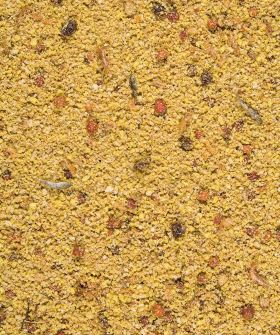 VERSELE-LAGA NutriBird GOLD PATEE Big Parakeets & Parrots