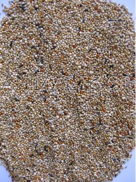 Deli Nature Premium Foreign finches