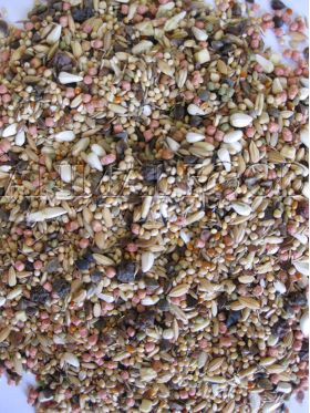 Deli Nature Birdelicious SERENGETI Parakeets 800g