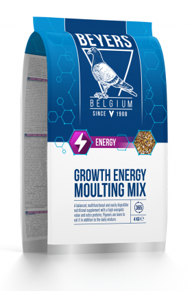 BEYERS GROWTH-ENERGY-MOULTING MIX 4kg